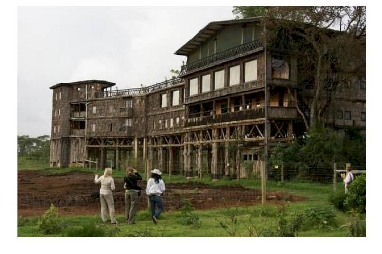 Treetops Lodge