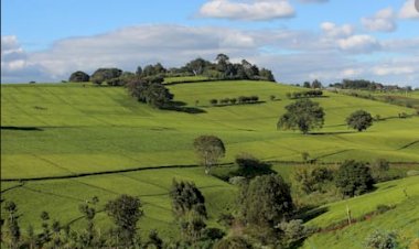 Miraculous Airbnb in Limuru