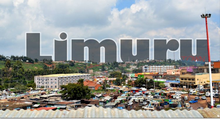 Miraculous Airbnb in Limuru