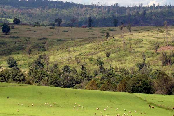8 Factors to Consider Before Buying Land