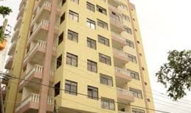 Why Some  Apartments don't Allow Tenants with Pets