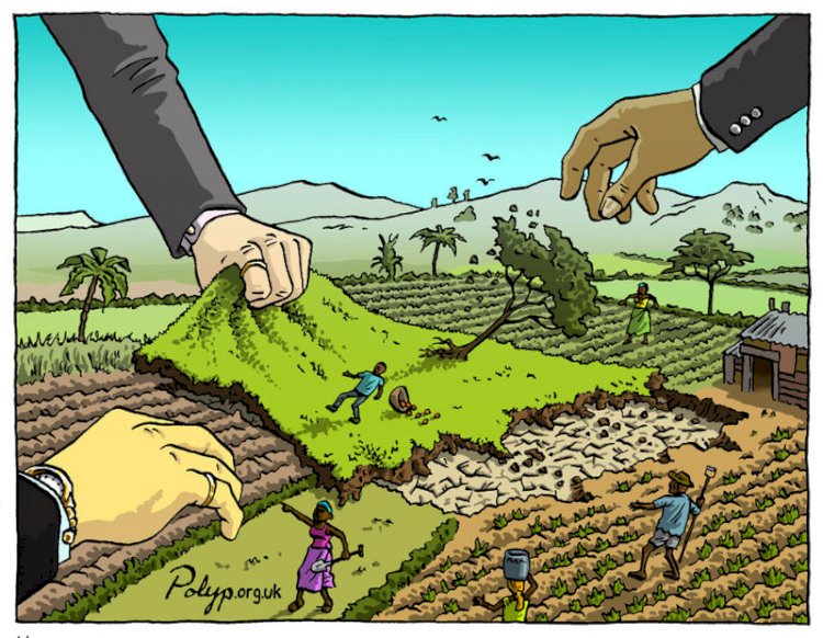 Real Estate Development and Land Grabbing