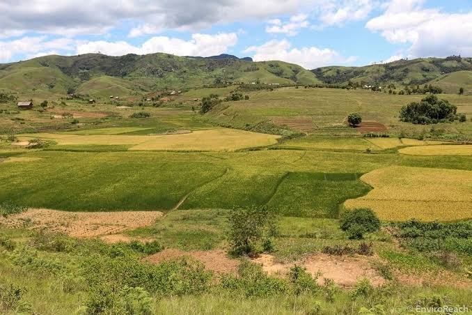 'Vishoka' Hawatambui Sheria za Ardhi Nchini Tanzania