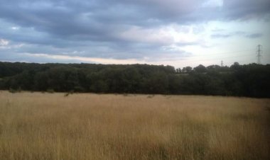 Important Things to Know About Land Rates and Rents