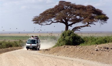 Can Non-Citizens Own Land in Kenya?