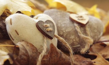 How To Decorate the House For Someone Special This Valentines