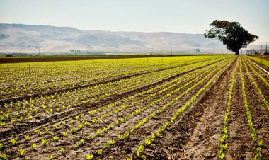 Mikakati ya Kupima Ardhi Jiji Mbeya Yaanza