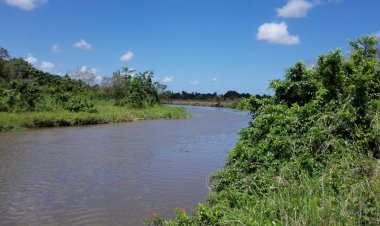 Wananchi Waonywa Kuhatarisha Usalama wa Maji Bonde la Pangani
