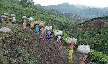 Njombe Residents Advised to Invest in Land Production