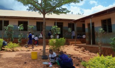 Serikali  ya Tanzania Yaamua Kuongeza Madarasa Katika Shule za Msingi Kusaidia Elimu ya Sekondari  