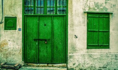 Mambo ya Kuzingatia ili Kujihadhari na Wadudu Hatari Majumbani