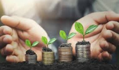 Application of Land for Investment in Tanzania.