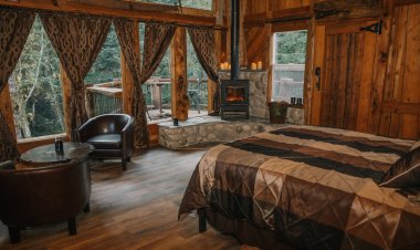 Airbnb,  What's New?