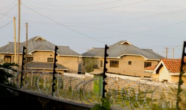 Importance of Tenant Representation