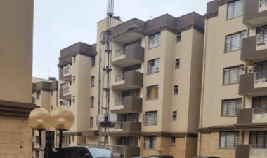 Optimism From Investors Following the Hit from Covid-19