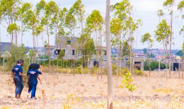 How Fanaka Real Estate Limited is Providing Solutions to Investors