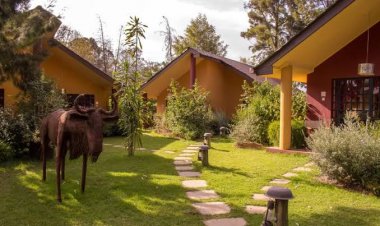 Hotels in Nanyuki: Le Rustique Hotel