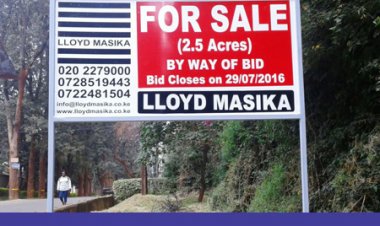 John Lloyd and David Masika the Brand Names Behind Lloyd Masika