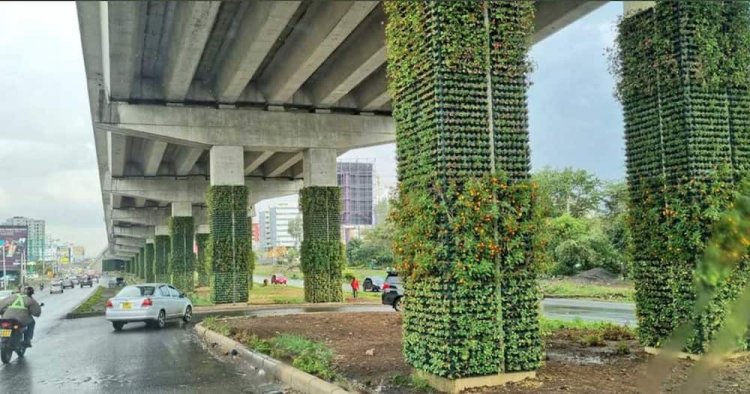 Photos of The Beautified Nairobi ExpressWay