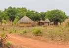 Why Zambian Spouses Should Think About Jointly Owning Land