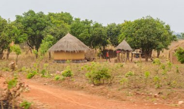 Why Zambian Spouses Should Think About Jointly Owning Land