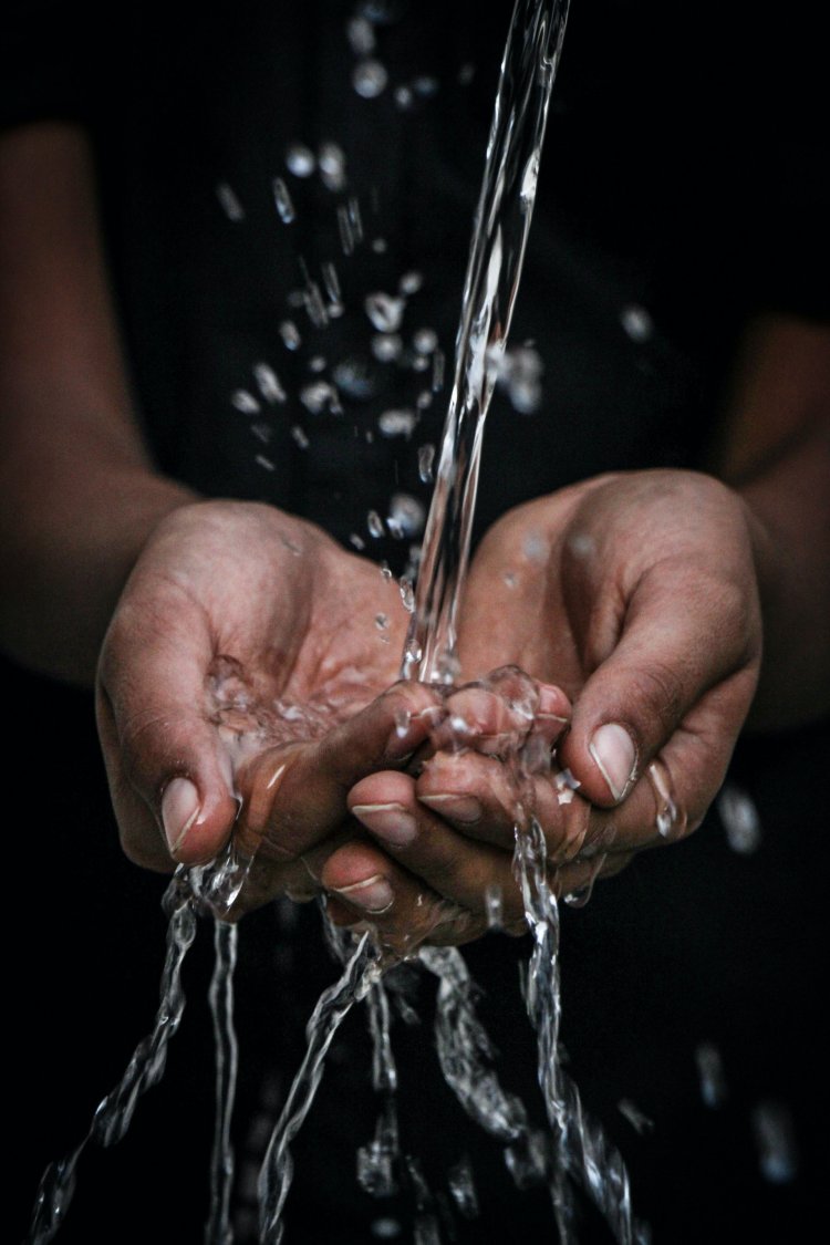 Why Waste-water Management Is Important For The Ecosystem