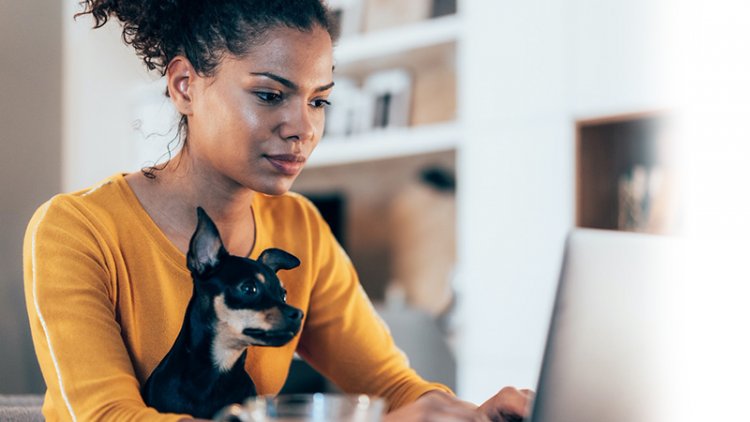11 Types of Real Estate Jobs to Explore