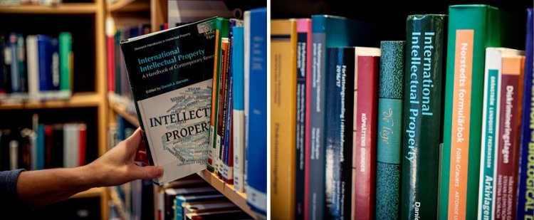 How Libraries as Intellectual Properties Raise Revenue