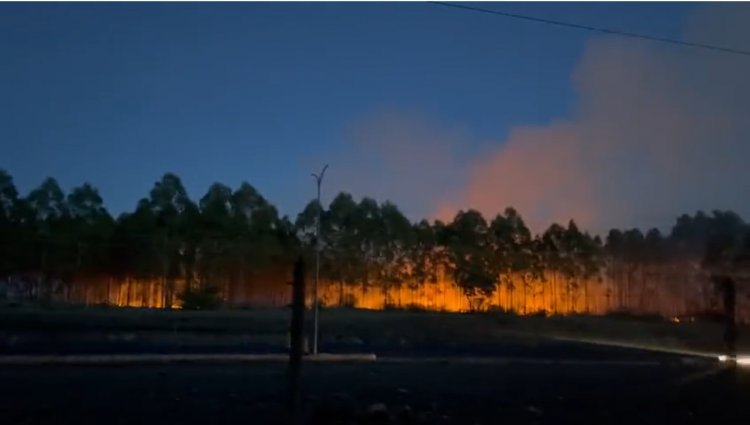 Intruders Set on Fire Kenya's Former President Uhuru's Family Farm, Northlands