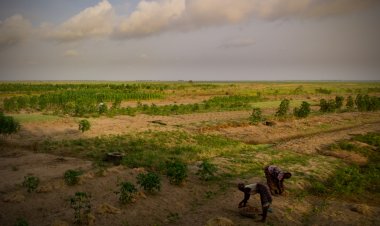 Major Challenges of Kenya's Land Tenure System
