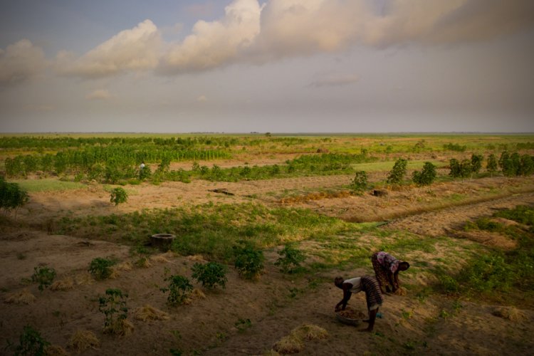 Major Challenges of Kenya's Land Tenure System