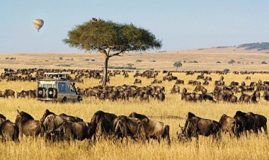 7 Places with Unique and Beautiful Landscapes in Kenya [PHOTOS]