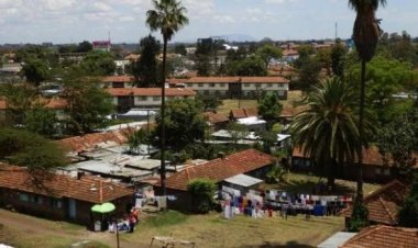 Who Currently Lives in Former Nairobi City Council's Houses?