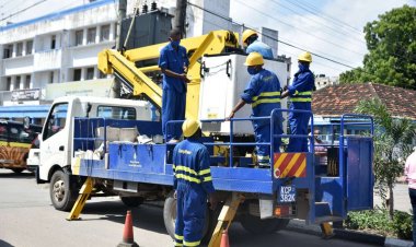 7 Requirements for KPLC Power Lines Installation