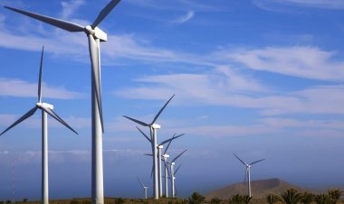 Impact of Wind Farms in Kenya