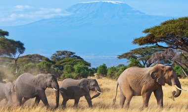 Travel Diaries: Places to Visit in Thika