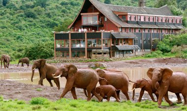 Travel Diaries: Places to Visit in Nyeri