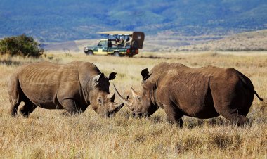 Travel Diaries: Places to Visit in Isiolo