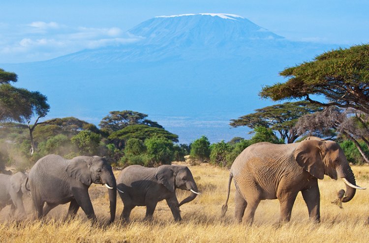 Travel Diaries: Places to Visit in Thika