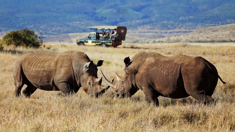 Travel Diaries: Places to Visit in Isiolo