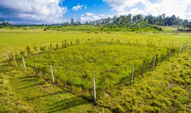 Land Valuation Services in Kenya: An Essential Guide for Property Owners