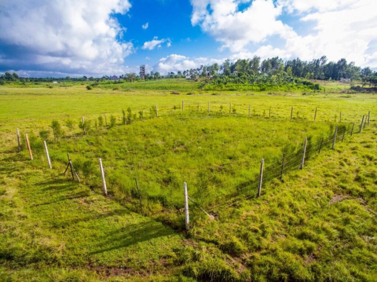 Land Valuation Services in Kenya: An Essential Guide for Property Owners