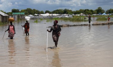 The Impact of Rain, Rivers, and Oceans on Population in Africa