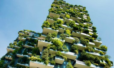 Building a Sustainable Future: The Rise of Green Building Societies in Real Estate