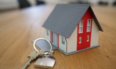 Understanding Accusation in Real Estate