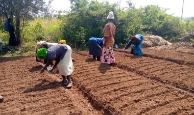 Empowering Women: Kenya's Land Equality Journey