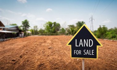 Understanding the Application of Caveat Emptor in Real Estate Transactions in Kenya