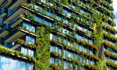 Urgent Call for Green Buildings in African Cities to Tackle Climate Challenges