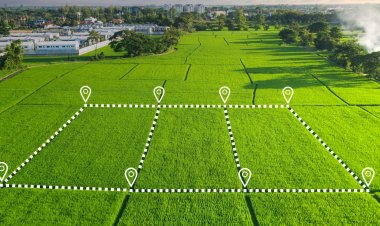Analysis of Apartment Land Rates in Kenya