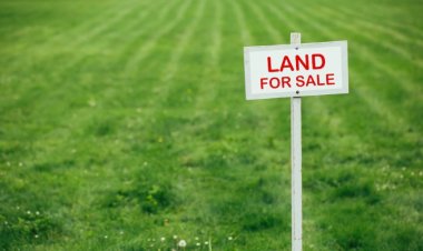 Land Rates: 7 Things You Need to Know Before Purchasing Land
